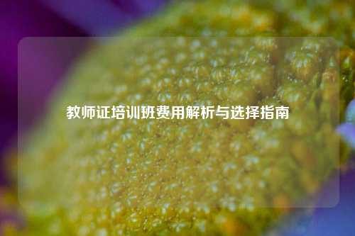 教师证培训班费用解析与选择指南