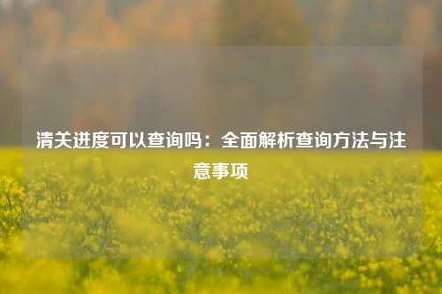 清关进度可以查询吗：全面解析查询方法与注意事项