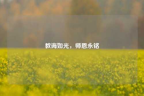 教诲如光，师恩永铭