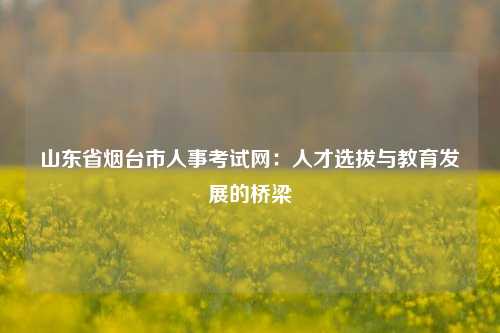 山东省烟台市人事考试网：人才选拔与教育发展的桥梁