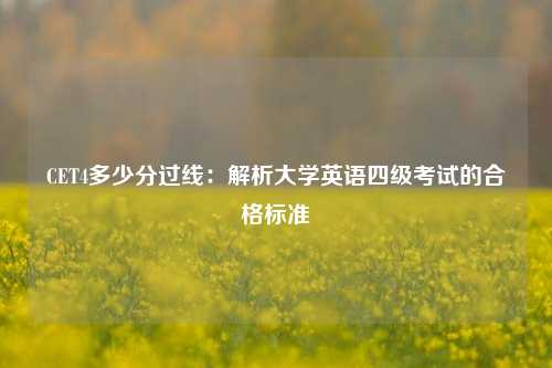 CET4多少分过线：解析大学英语四级考试的合格标准