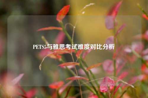 PETS5与雅思考试难度对比分析