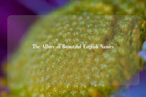 The Allure of Beautiful English Names
