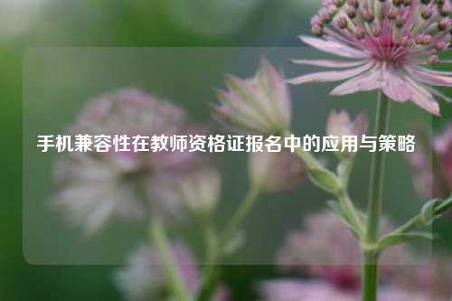 手机兼容性在教师资格证报名中的应用与策略