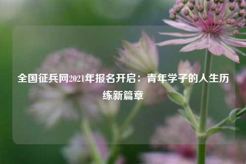 全国征兵网2021年报名开启：青年学子的人生历练新篇章